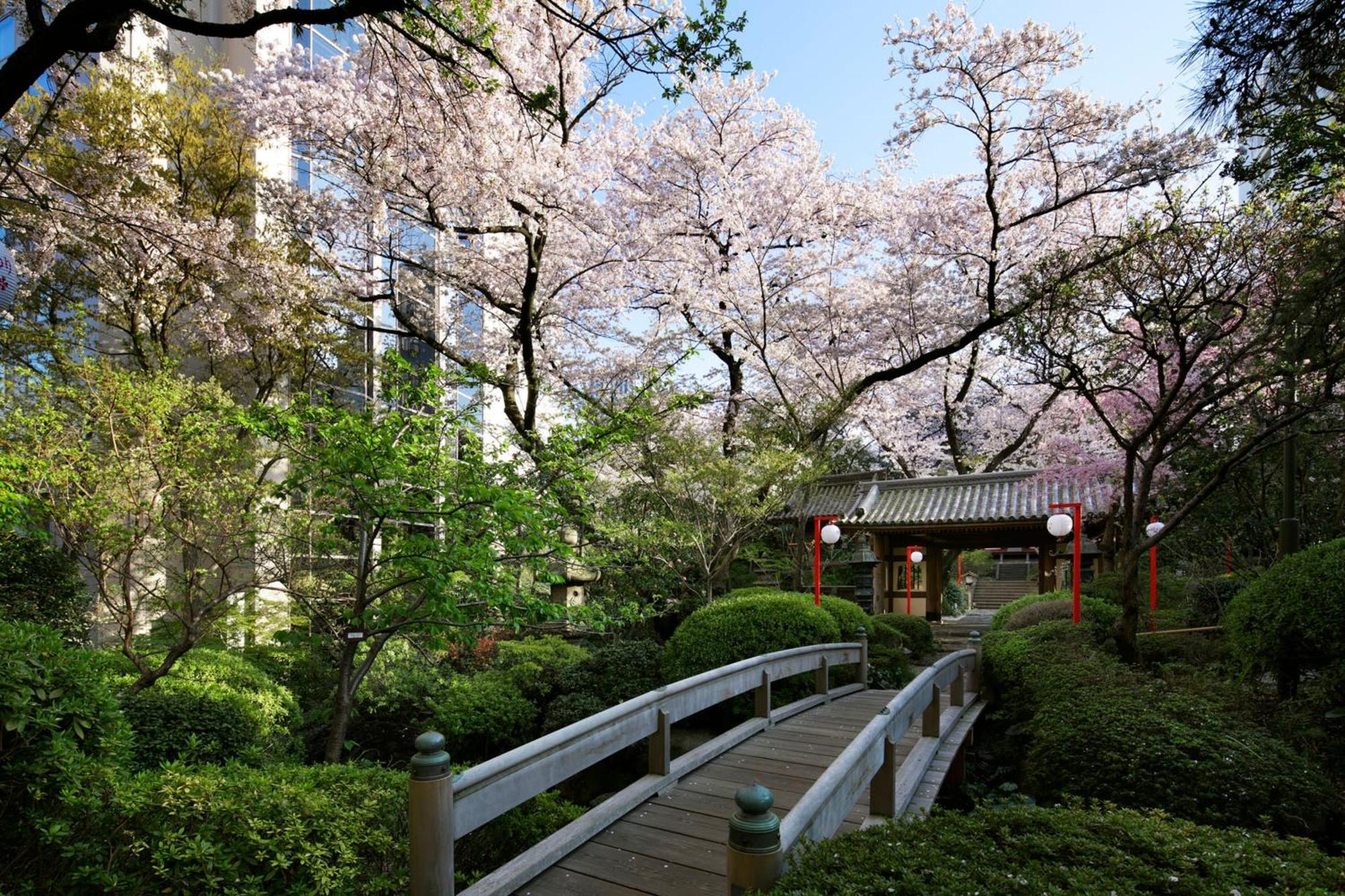 The Prince Sakura Tower Tokyo, Autograph Collection, Tokyo